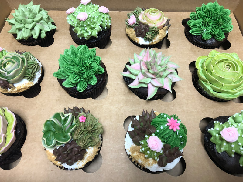 Succulent cupcakes custom made. These are all jumbo sized cupcakes and really looked like real succulents. 